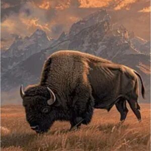 A Bit About My Life  And A Tigger “Helloooo”